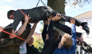 ...während die anderen Studierenden sich gemeinsam vorankämpfen.