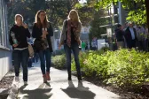 Das Sommerfest 2015 – auf dem Campus des TA Bildungszentrums wird fröhlich gefeiert.